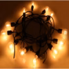 String Lights, 12 Bulbs - Image 8