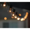 String Lights, 12 Bulbs - Image 7