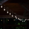 String Lights, 12 Bulbs - Image 3
